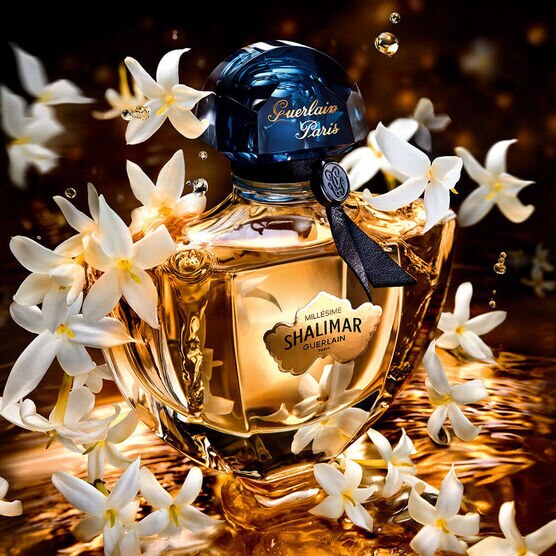 Perfume Guerlain Terracotta Feminino Eau de Toilette